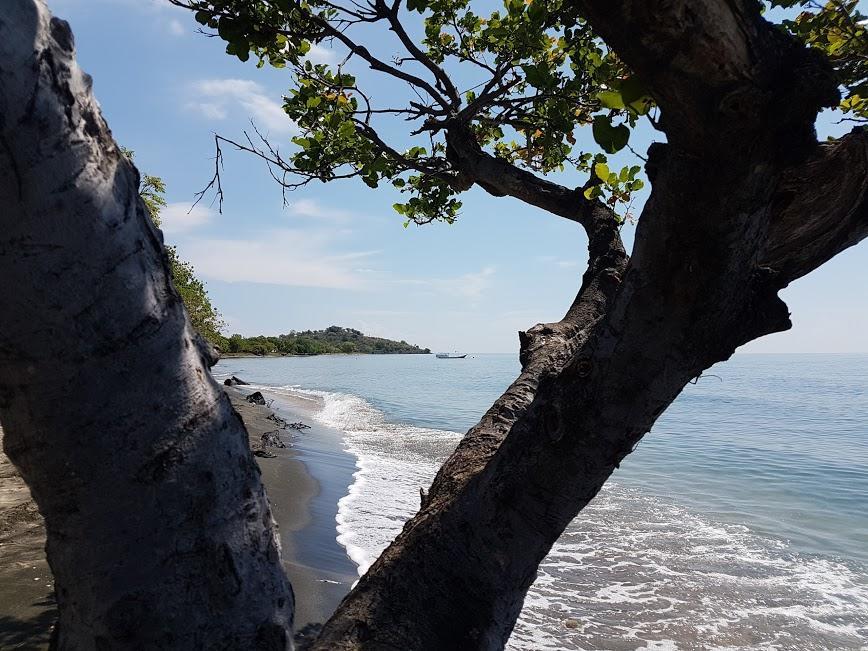 Taman Dewi Sri Villa Et Bungalow Pemuteran Eksteriør bilde